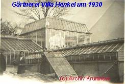Gärtnerei Villa Henkel um 1930 - (c) Archiv Krumnow