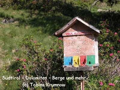 Bienenstock im Sagbachtal