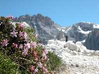 Altensteiner Tal und Elferkofel